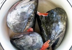 Головы рыб кетовых пород