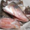 Обрезь рыб кетовых пород